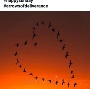 Meet your Posher, Virginia